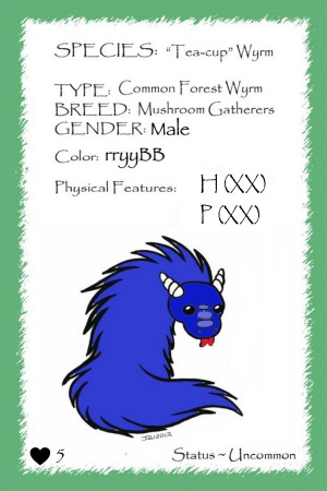 Cobalt card.jpg