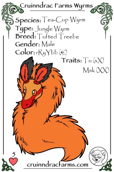 File:Mothim card.jpg