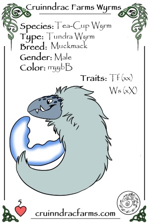 Tungortok card.jpg