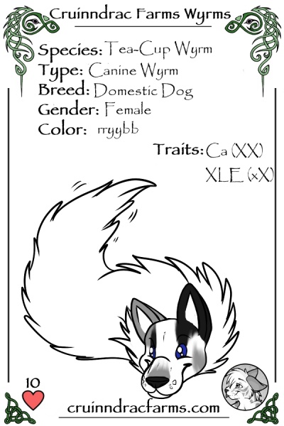 File:Bridger card.jpg