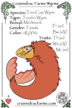 Salmon card.png