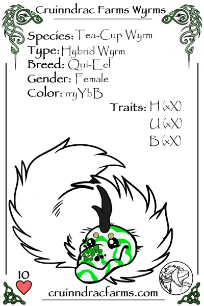 File:Seafoam card.jpg