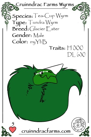 Zoenen Hoogstandjes card.jpg