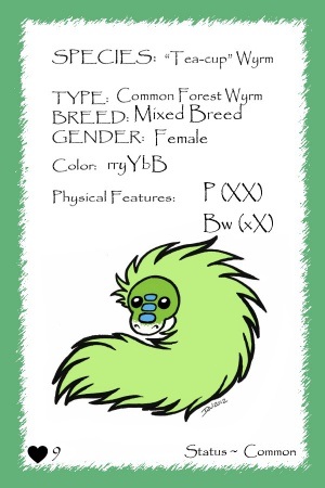 Fauna card.jpg
