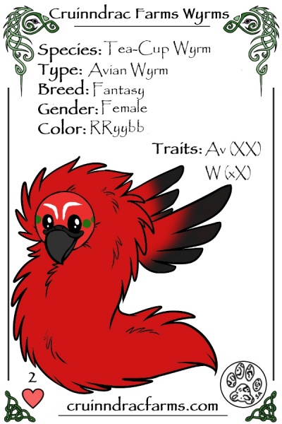 File:Thunder card.jpg