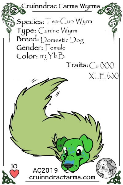 File:Kiburi card.jpg