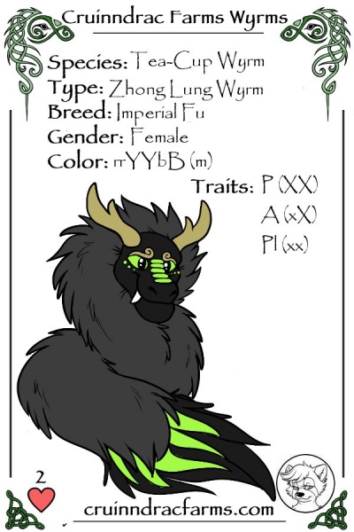 File:Lady Jade card.jpg