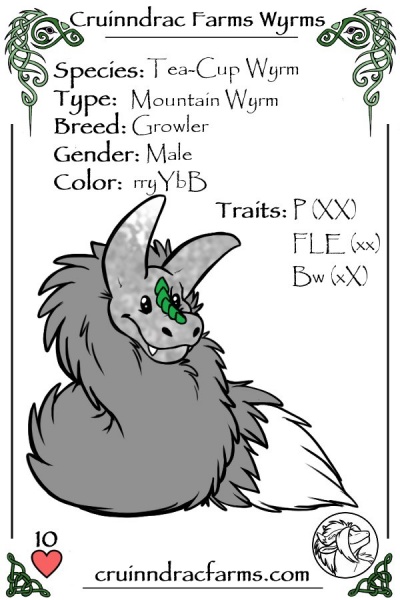 File:Snaggle Jr. card.jpg