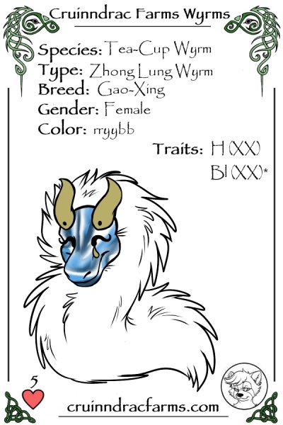 File:Malkia card.jpg