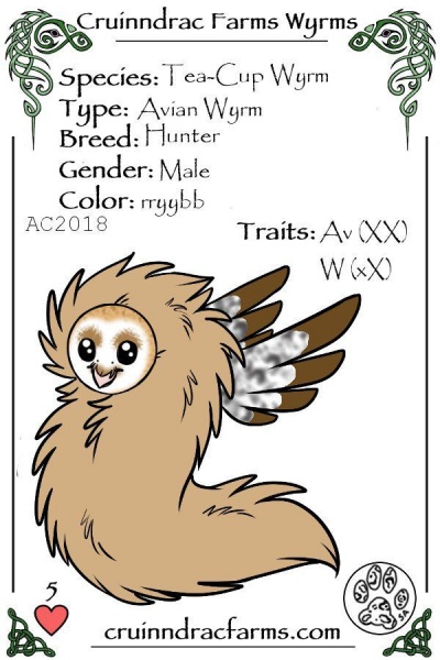 File:Hootie card.jpg