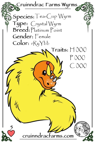 File:Caleana card.jpg