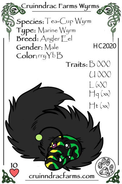 File:Ketchup card.jpg