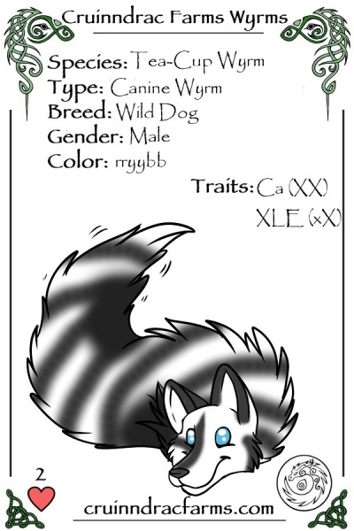 File:Toasted Marshmallow card.jpg