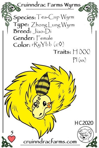 File:Conjure card.jpg