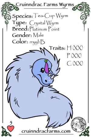 Baby's Breath card.jpg