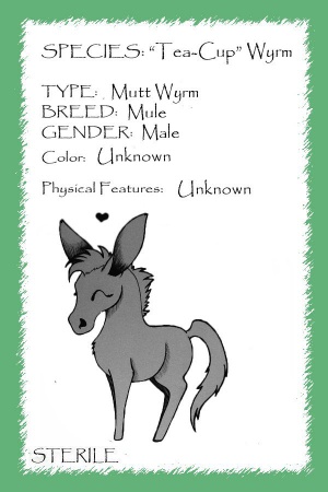 Tokoloshe card.jpg