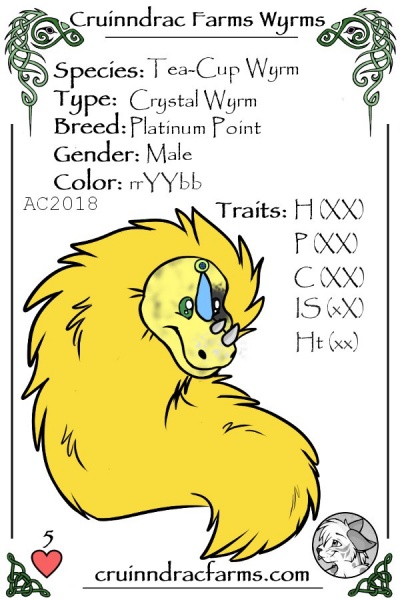 File:Kalpasi card.jpg