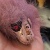 1 of 3 icon.jpg