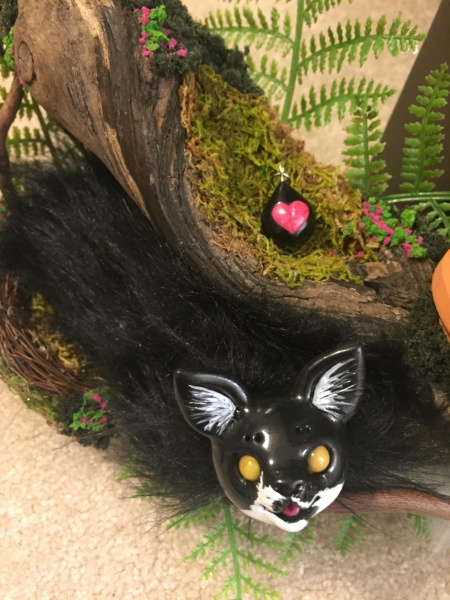 File:Dimey Kitten.jpg