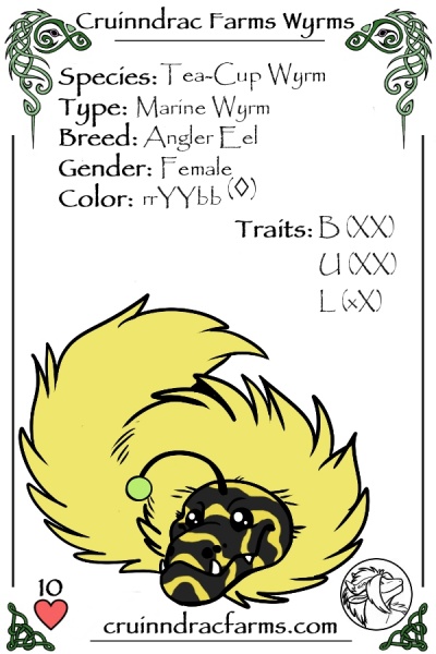 File:Mestama card.jpg