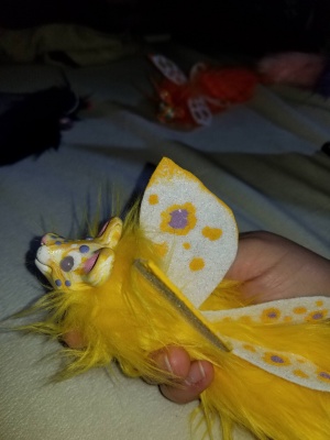 Dandelion..jpg