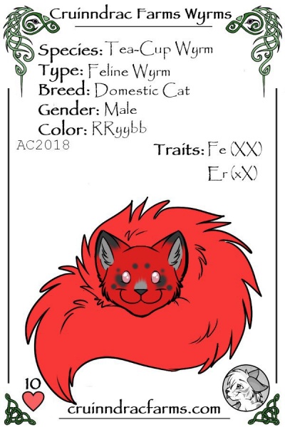 File:Deadpool card.jpg