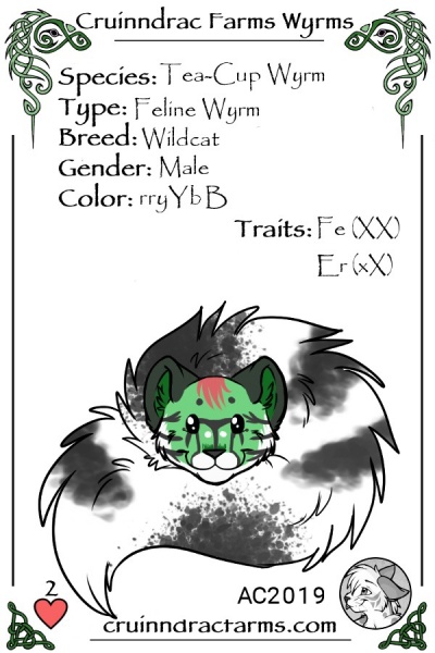 File:Avogato card.jpg