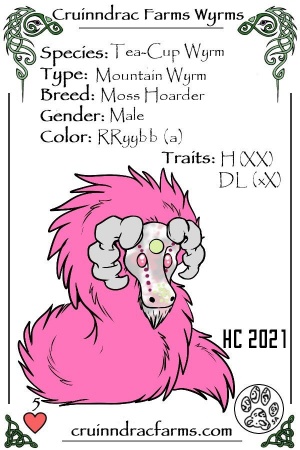 Daft Wullie card.jpg