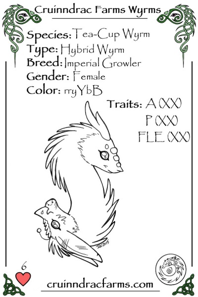 File:Sun Drop card.jpg