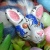 Leafpool icon.jpg
