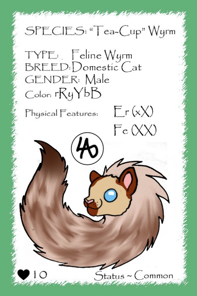 File:S'mores card.jpg