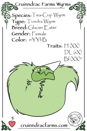 Snowglare card.jpg