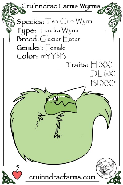 File:Snowglare card.jpg