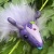 Grape Juice icon.jpg