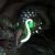 Proto Zoa icon.jpg