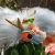 Splish-Splash icon.jpg