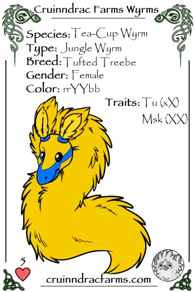 File:Sun Wisp card.jpg