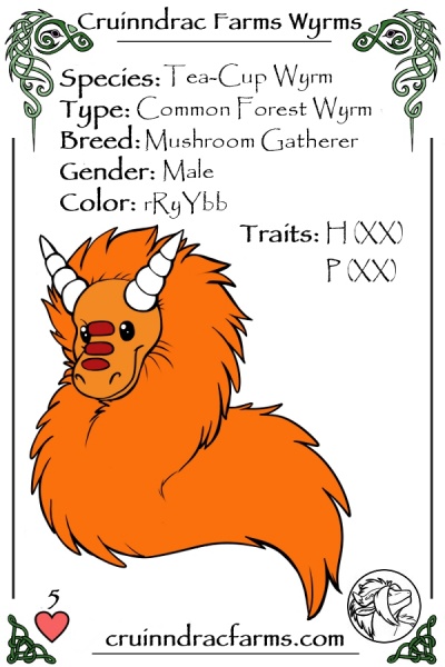 File:Son Goku card.jpg