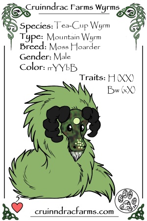 Sphacos card.jpg