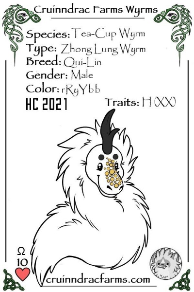 File:Hidden Mickey card.jpg