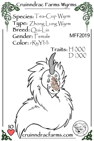 Gusty's Feyrith card.jpg