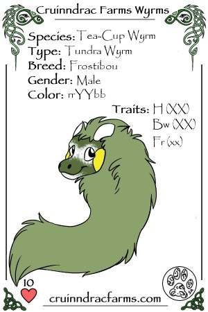 Fried Pickle card.jpg