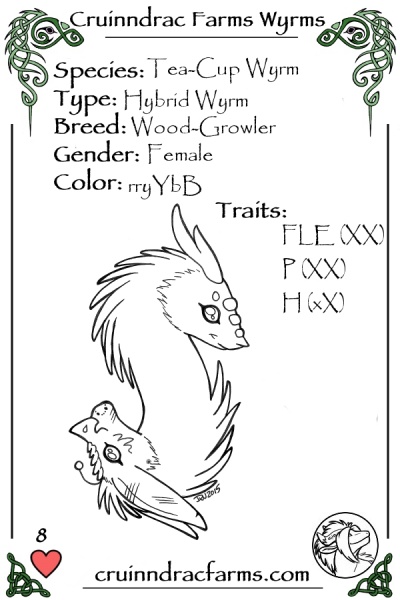 File:Nephrite card.jpg