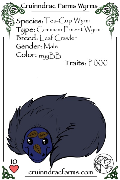 File:Rename 2 card.jpg