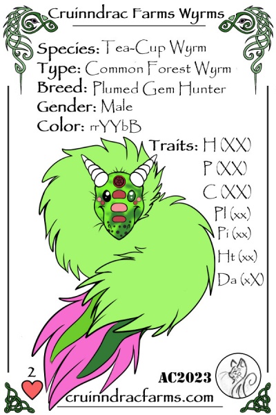 File:Melon. card.jpg