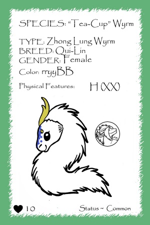 Pinyin card.jpg
