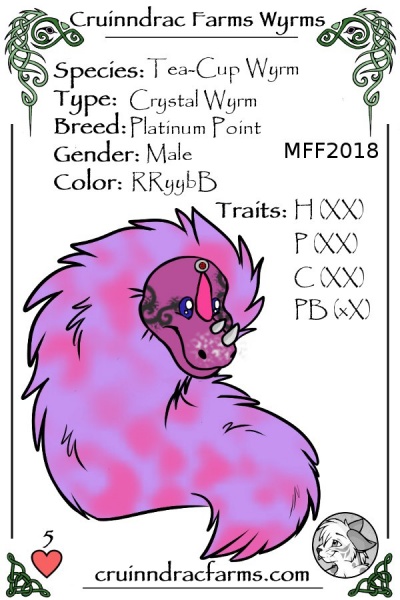 File:Black Lace card.jpg