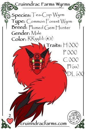Smaug card.jpg