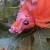 Flutter icon.jpg