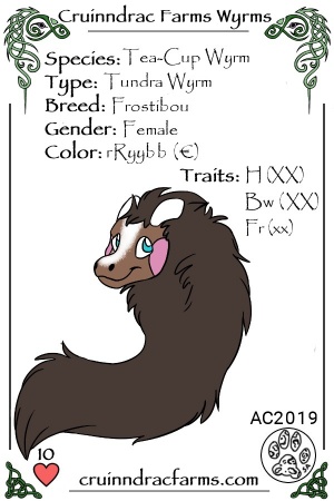 Gusty's Tundra Dancer card.jpg